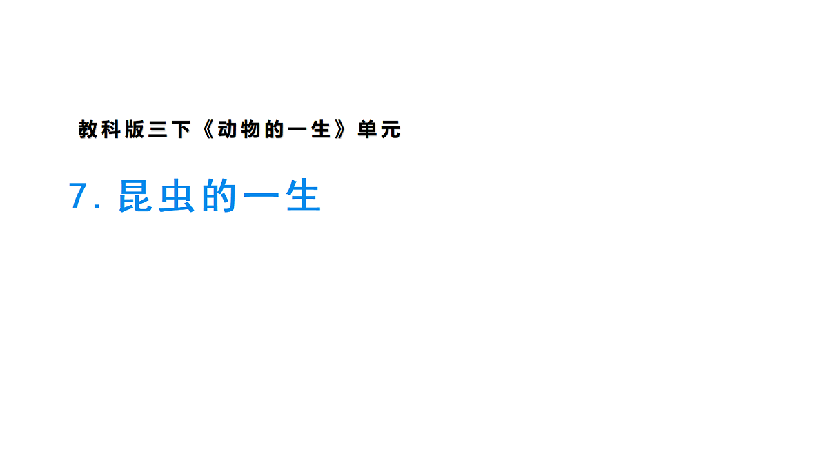 18042064第1页