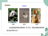 粤教粤科版（2024）科学三年级下册1.7《我国的珍稀动物》课件