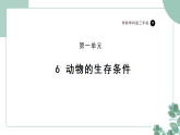 粤教粤科版（2024）科学三年级下册1.6《动物的生存条件》课件