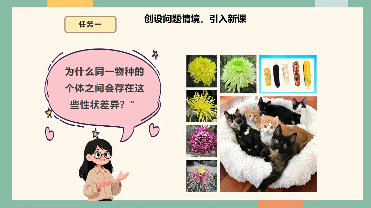 18042436第5页