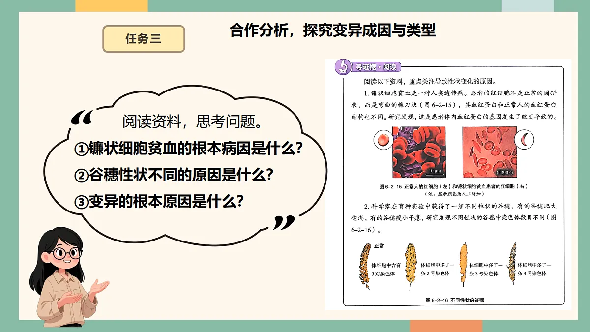 18042436第7页
