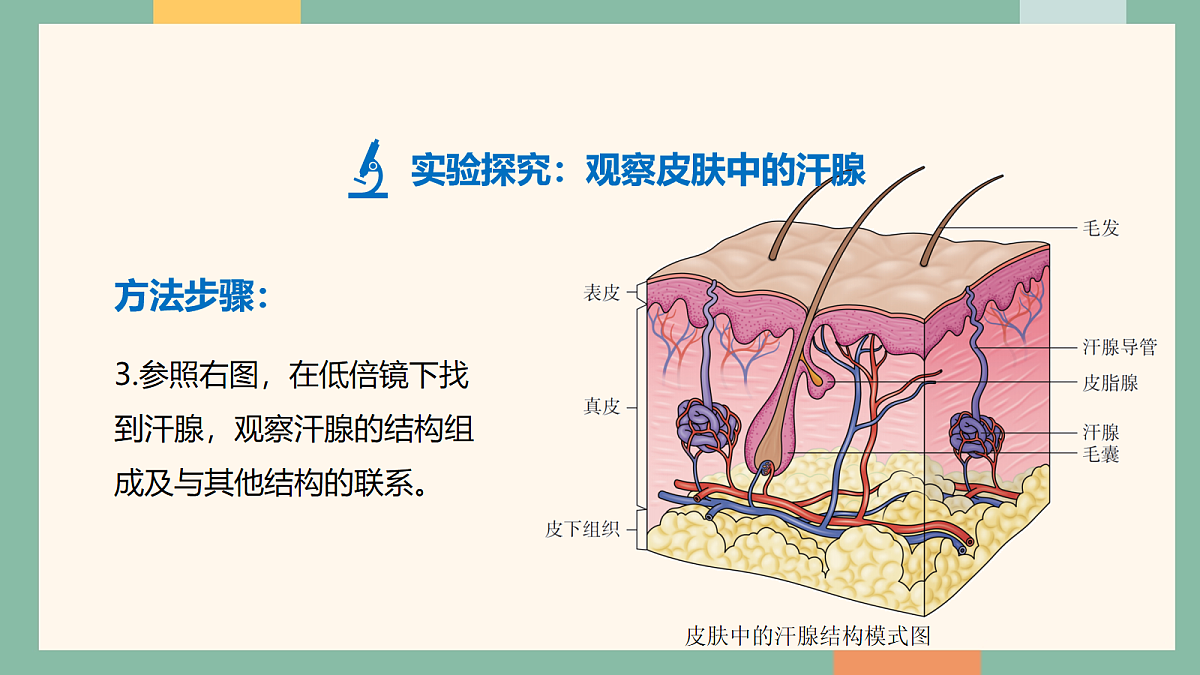 18042437第7页