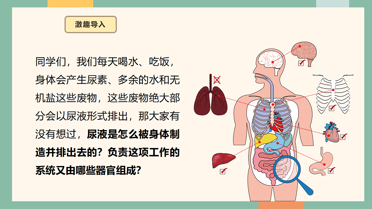 18042444第3页