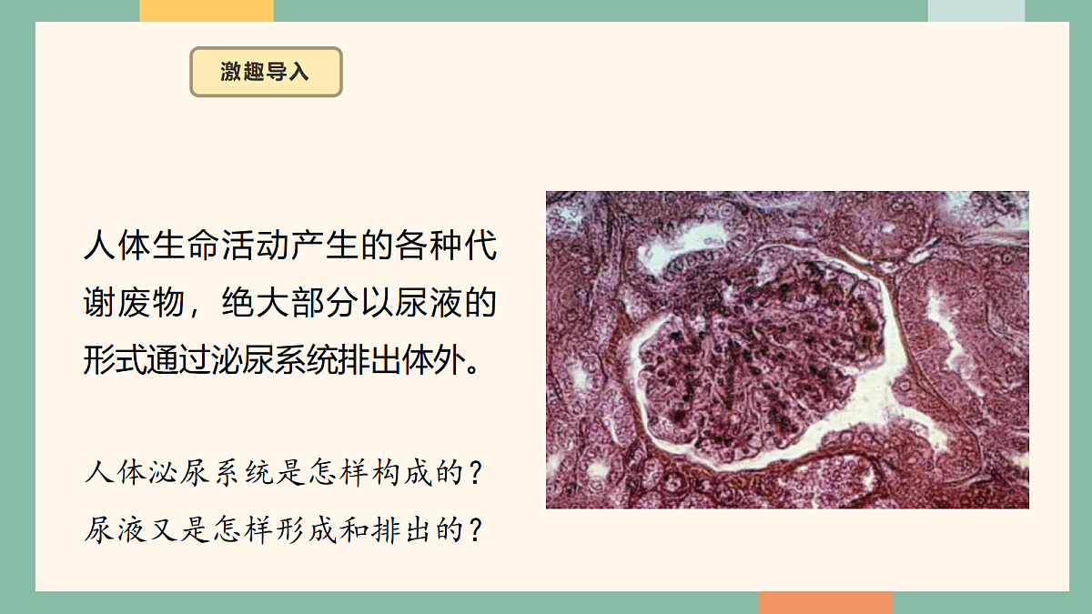18042444第4页