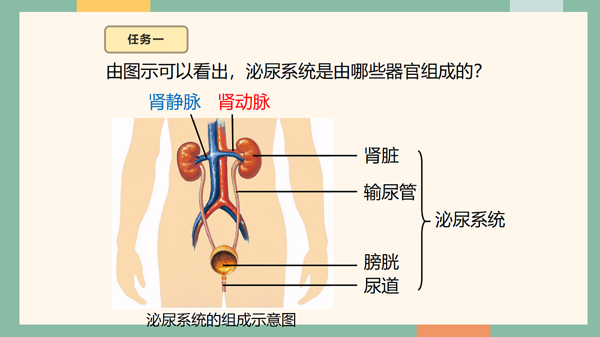 18042444第7页