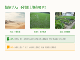 2025-2026学年人教鄂教版（新教材）小学科学三年级下册第三单元《9 不同质地的土壤》教学课件