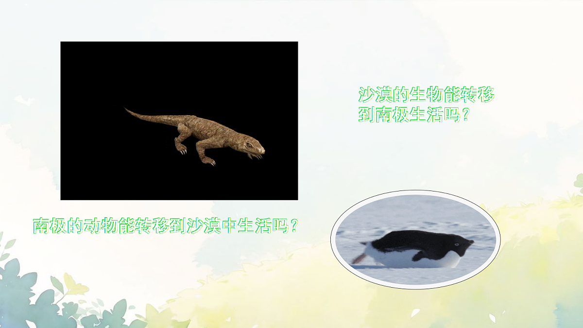 18043028第3页