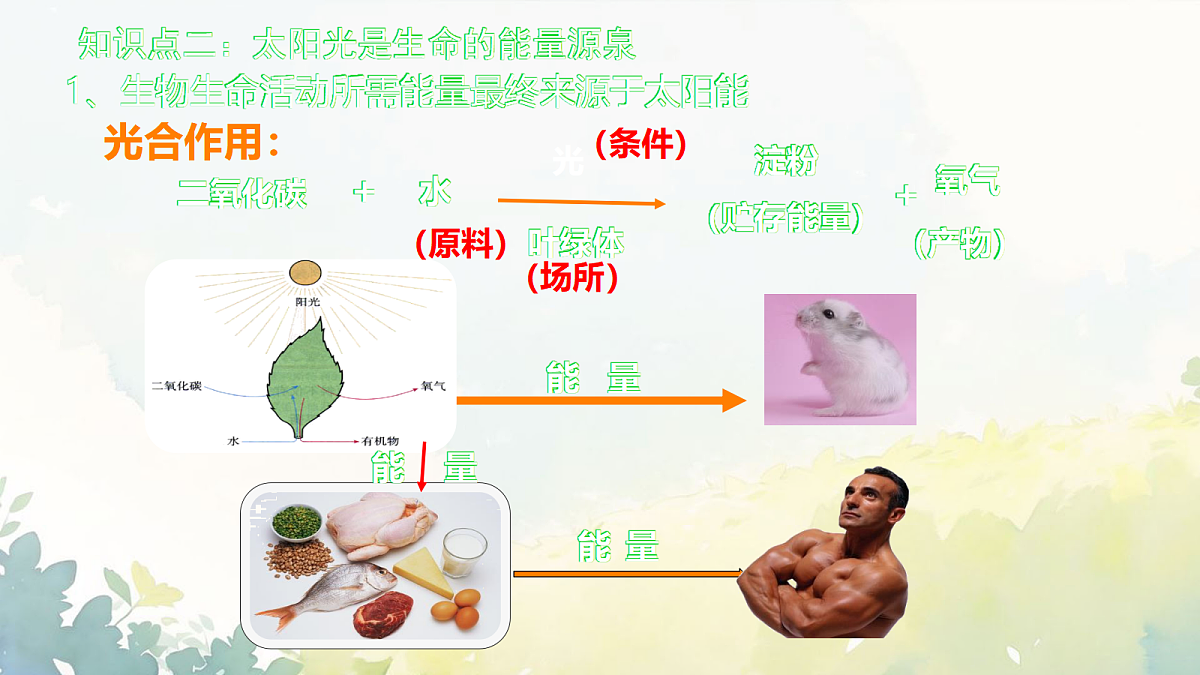 18043028第8页