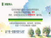 初中  生物  北师大版（2024）  八年级下册8.20.2 生态系统的组成 课件