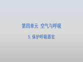 2026年春小学科学大象版（2024）三年级下册4.5保护呼吸器官PPT课件