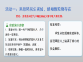 2026年春小学科学大象版（2024）三年级下册4.5保护呼吸器官PPT课件