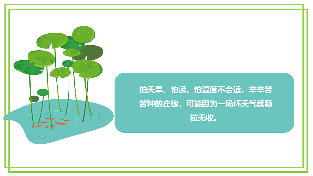 18043641第6页