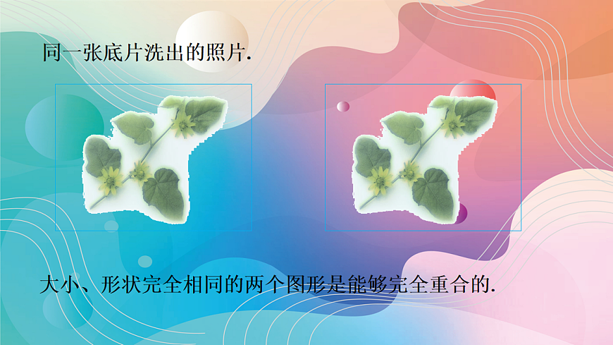 18043822第4页