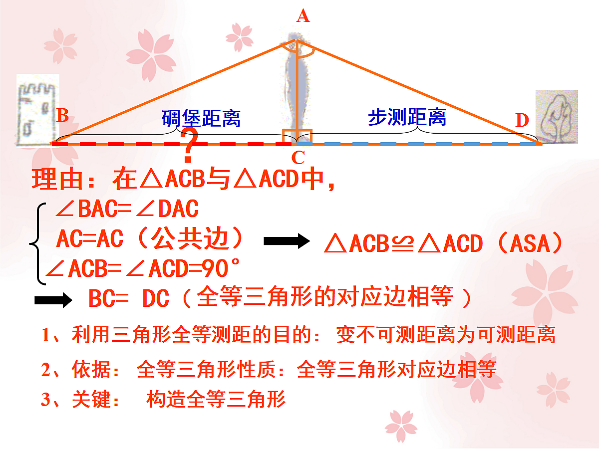 18043826第5页