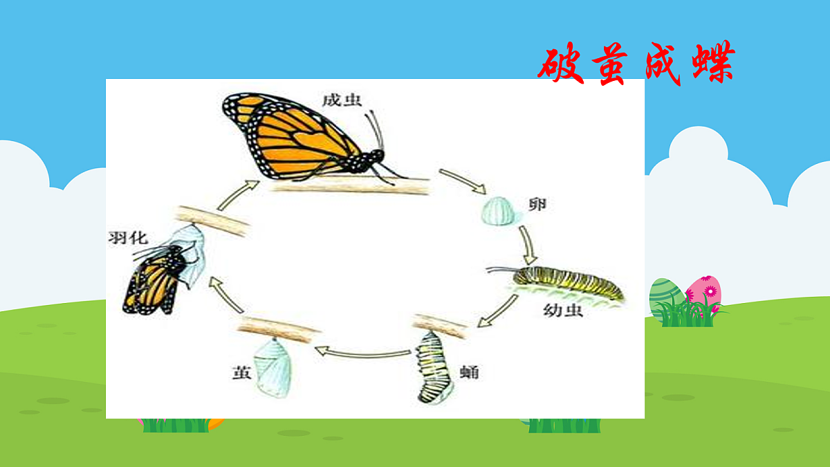 18043863第3页