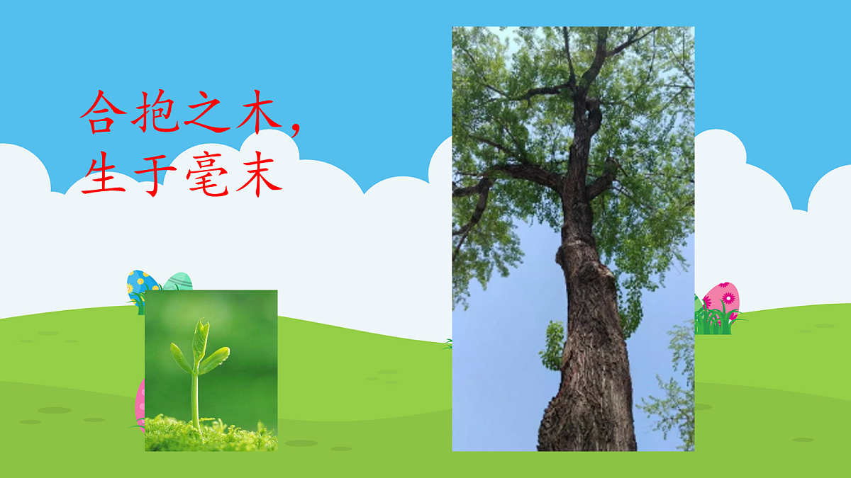 18043863第4页