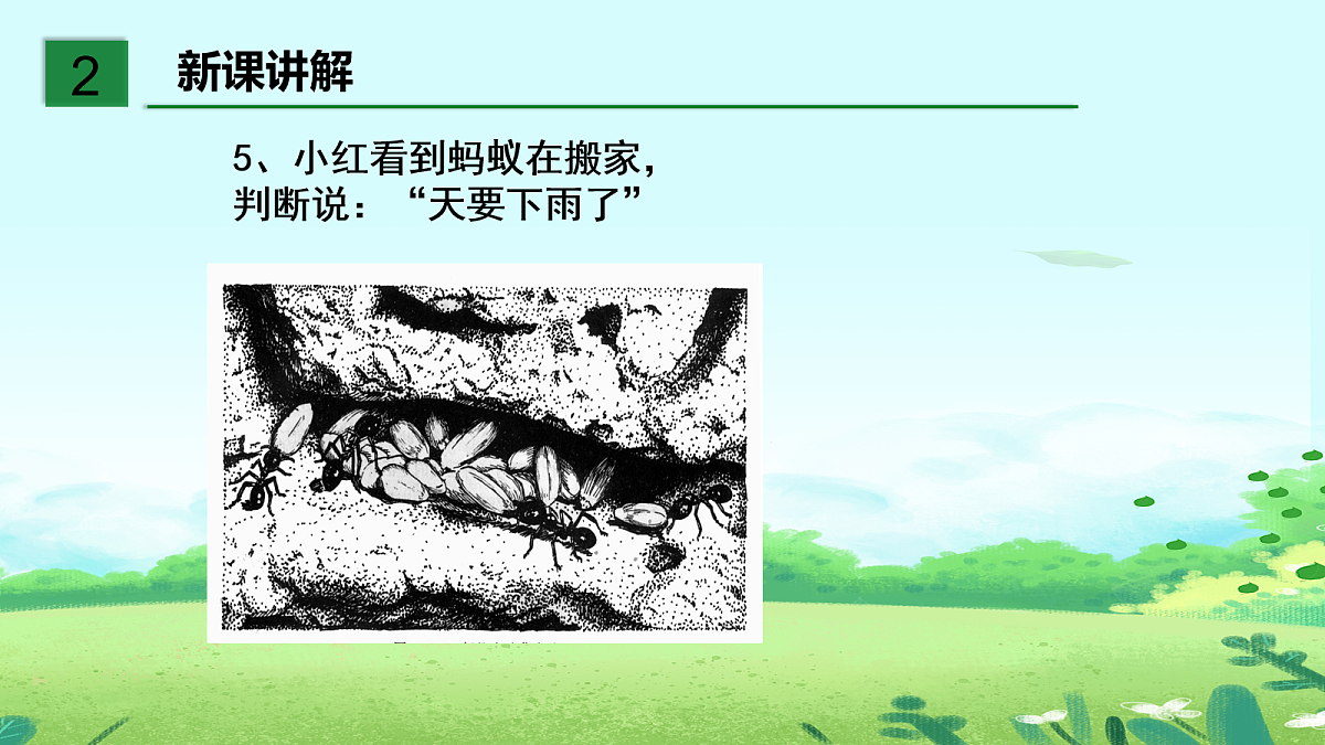 18044030第7页