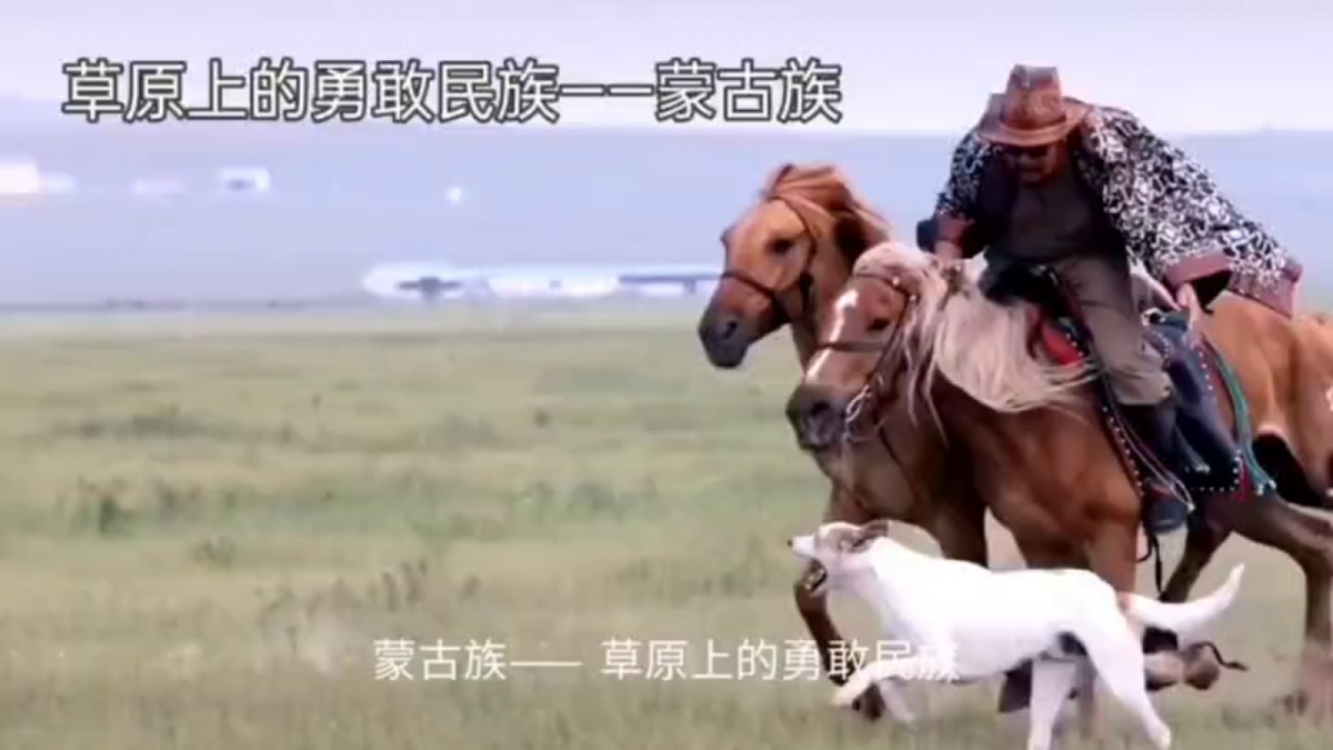 第一单元《酒歌》-课件第6页