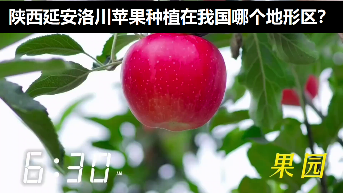 18044991第3页