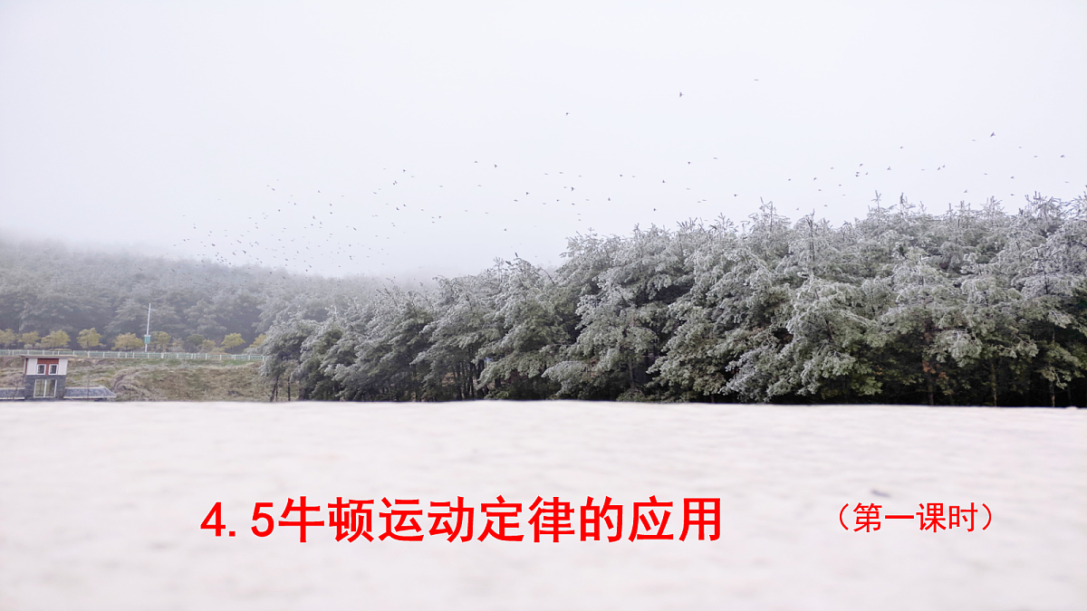 18045443第1页