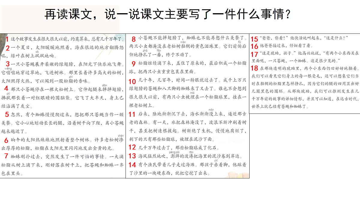 （教学课件）5.琥珀第6页