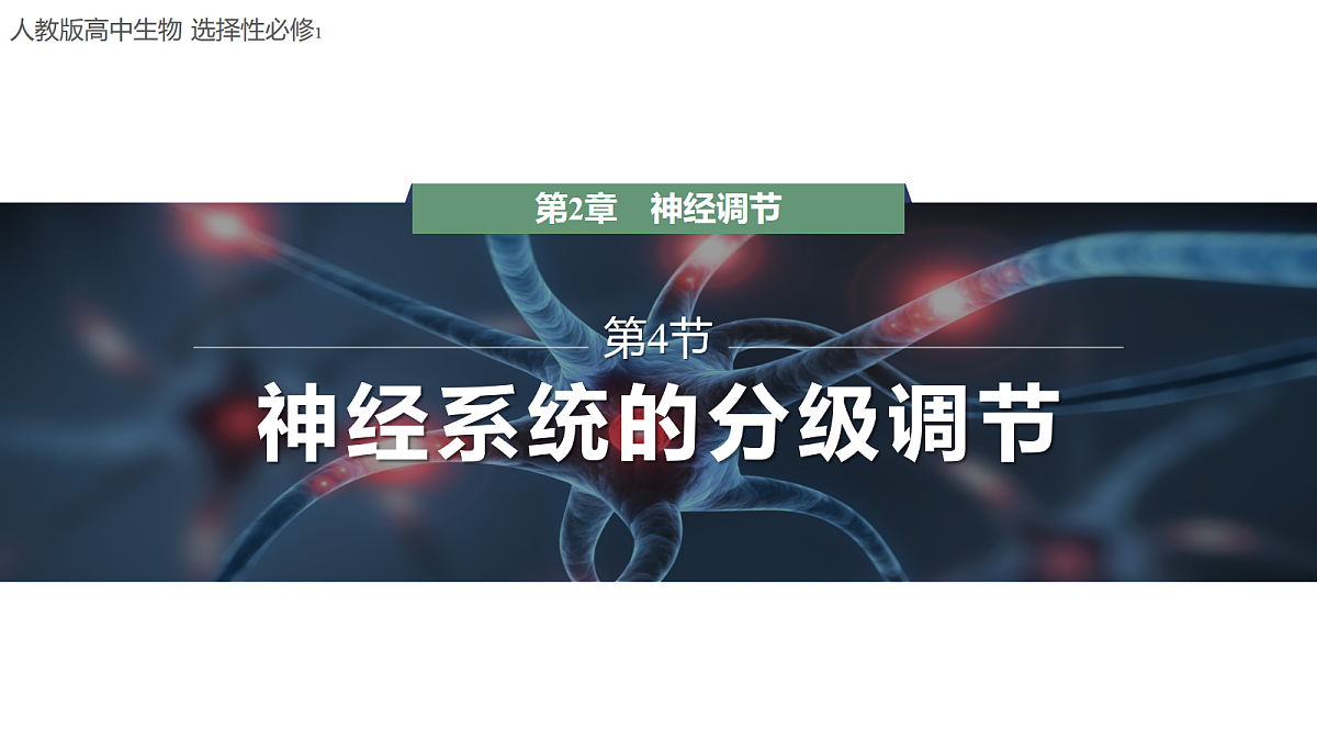 18047993第1页