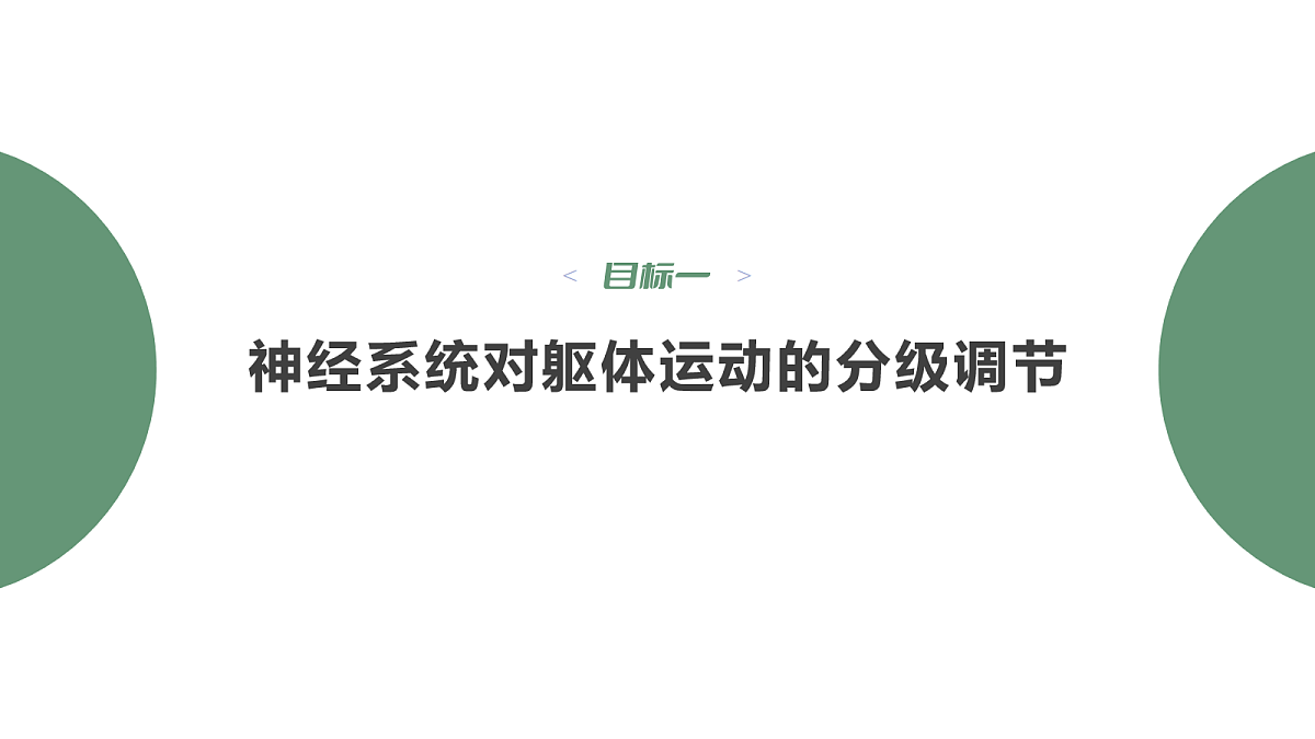 18047993第3页
