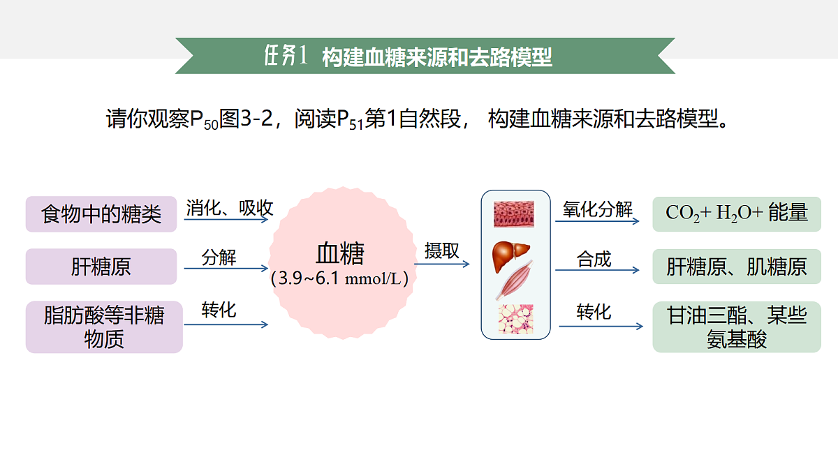 18047994第5页