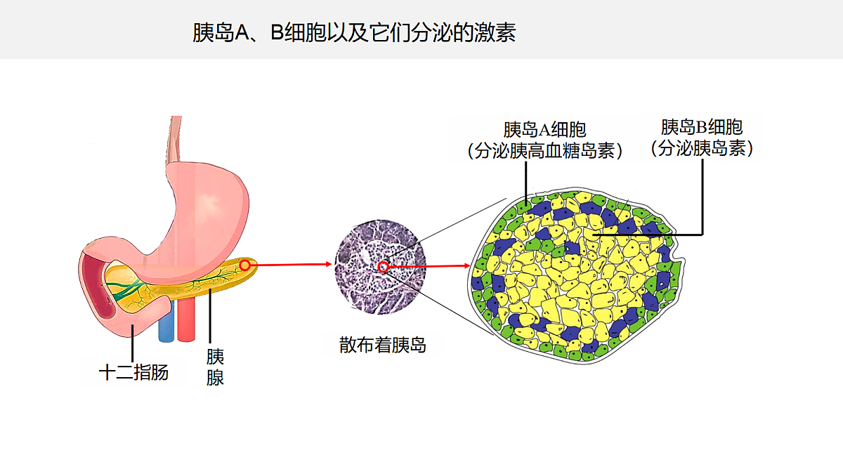 18047994第6页
