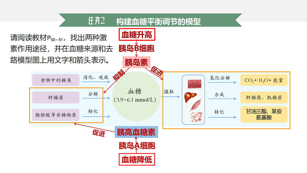 18047994第7页