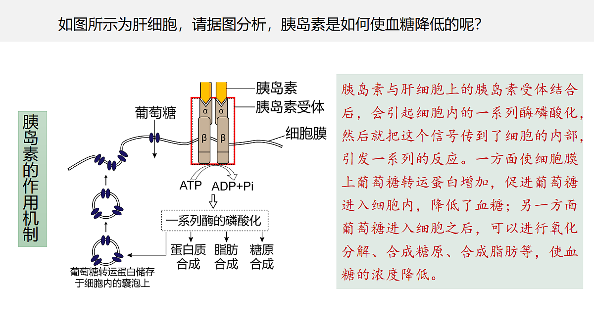 18047994第8页
