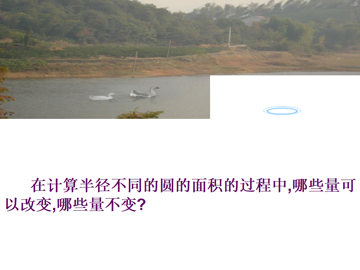 18048060第5页