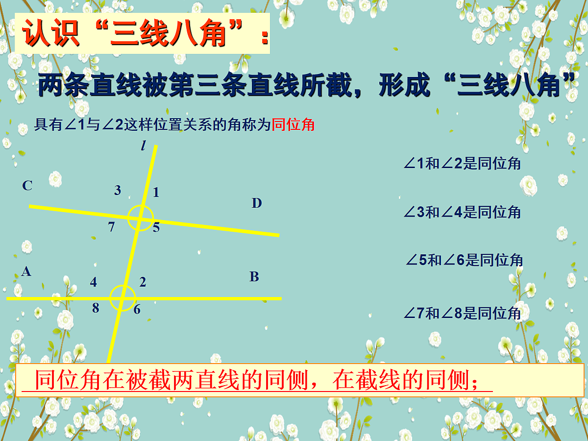 18048096第8页