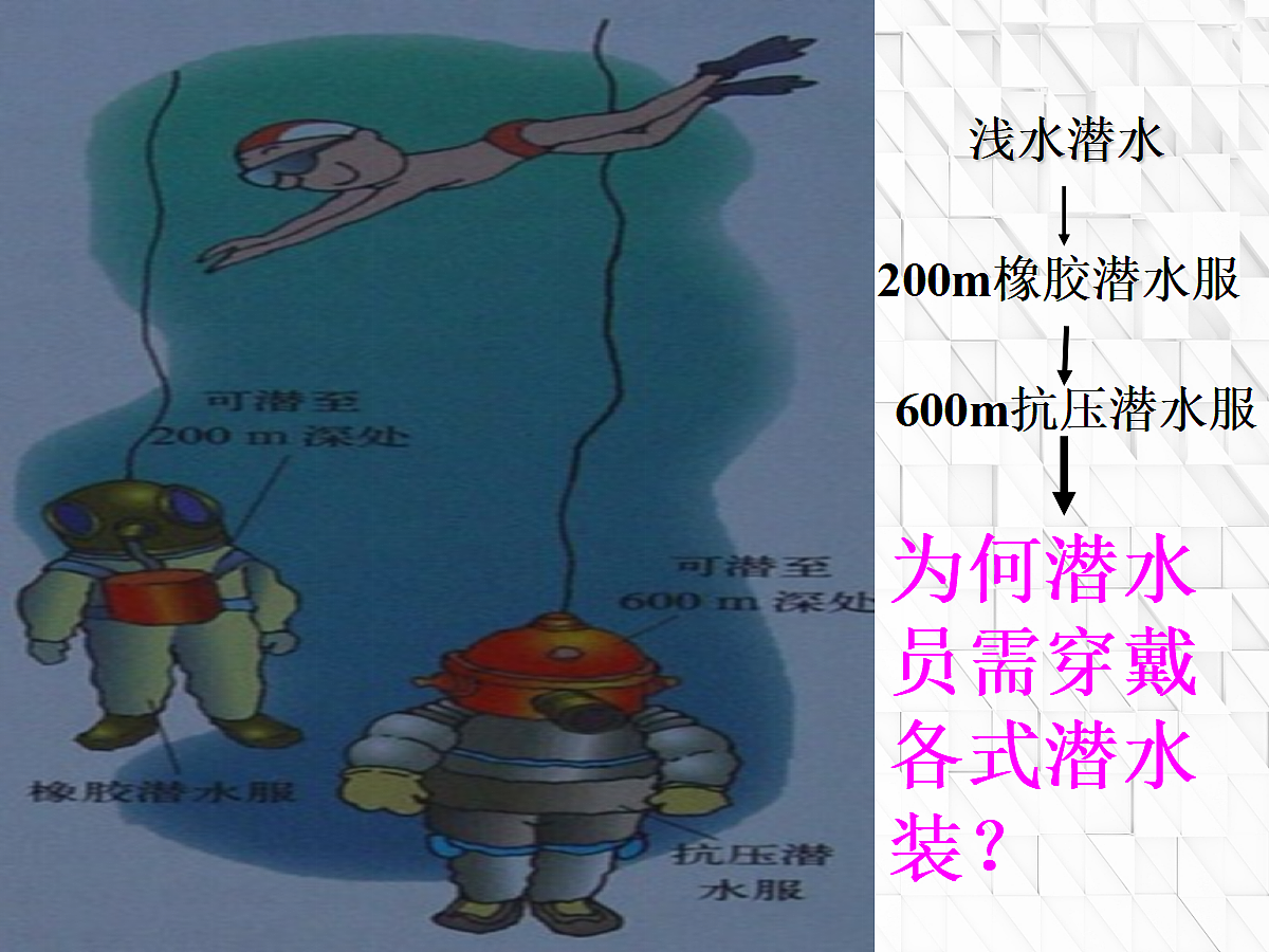 18048162第4页
