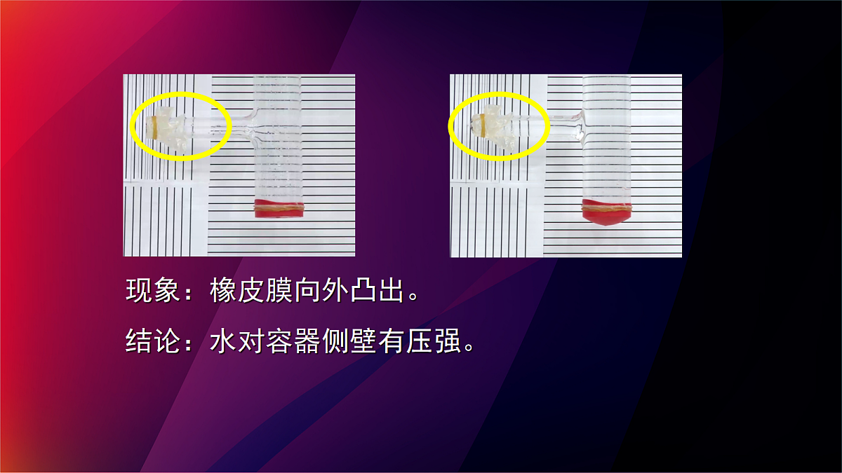 18048303第7页
