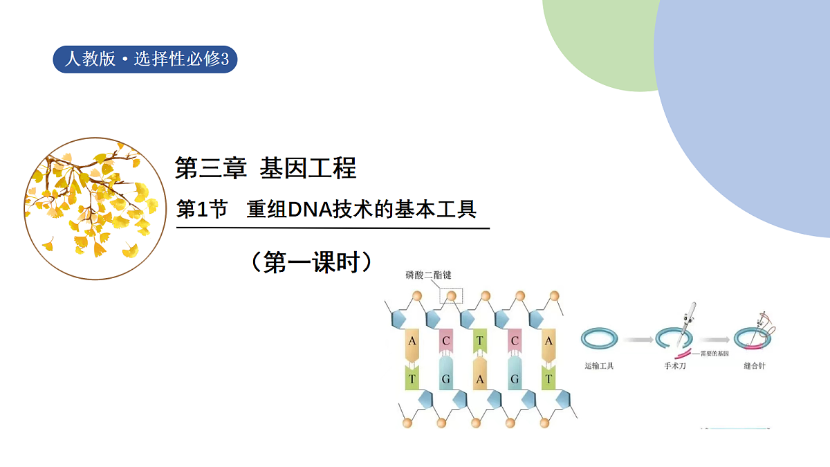 18048360第1页