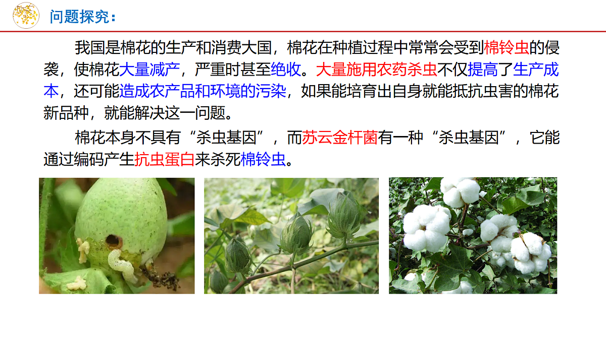 18048360第2页