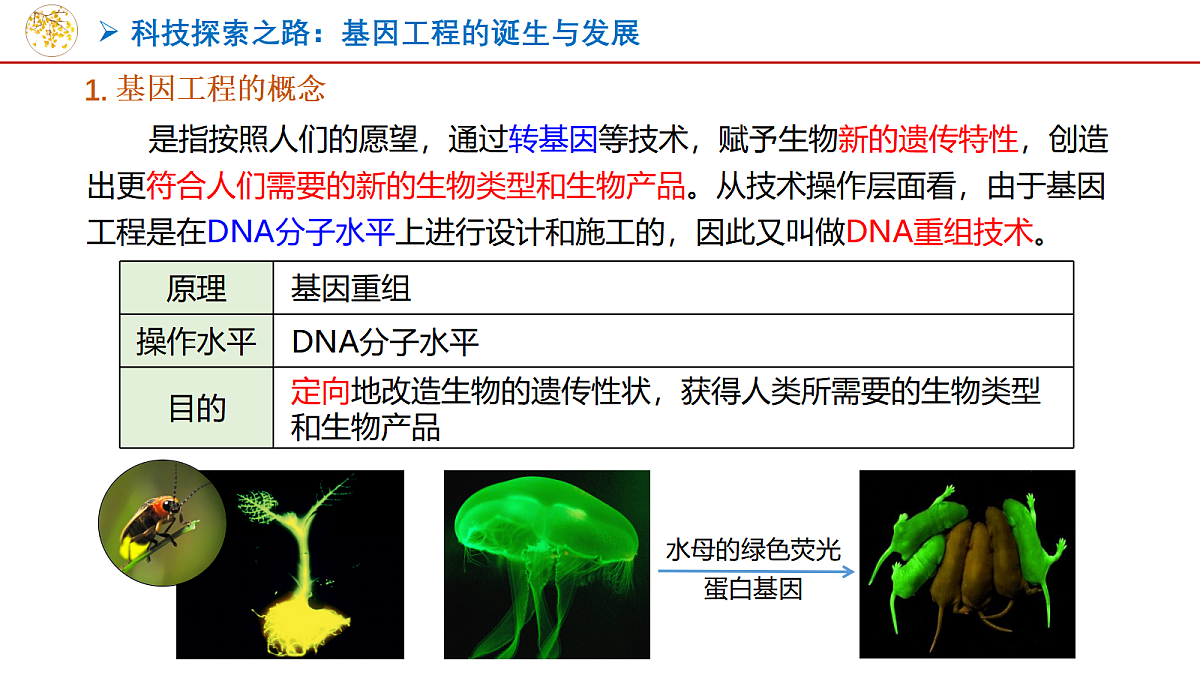 18048360第4页