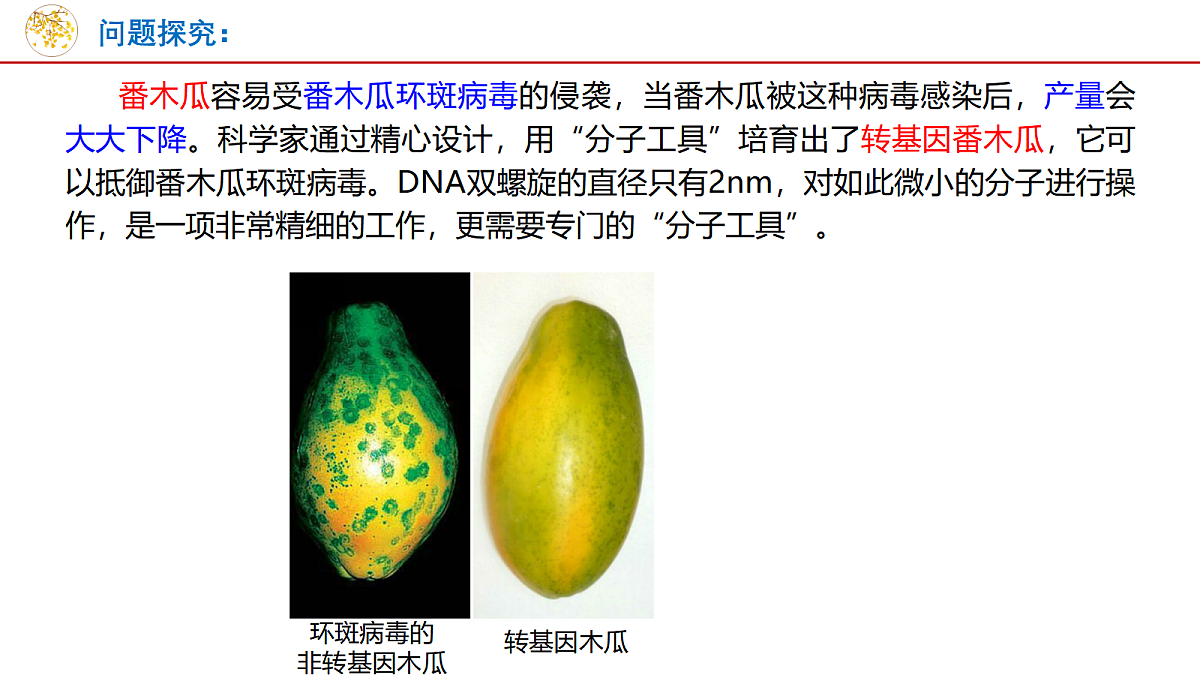 18048360第6页
