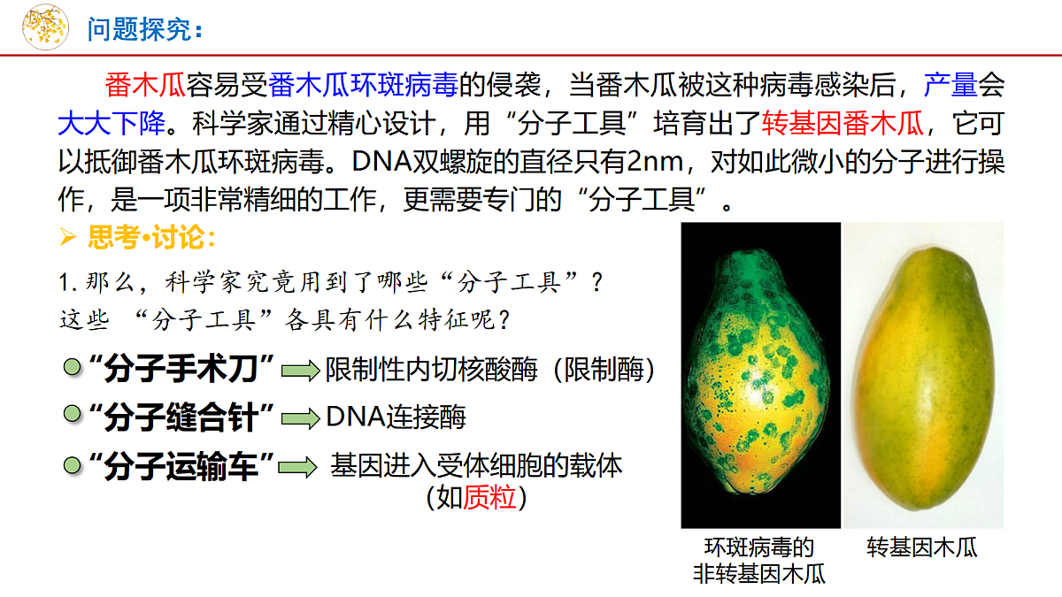 18048360第7页