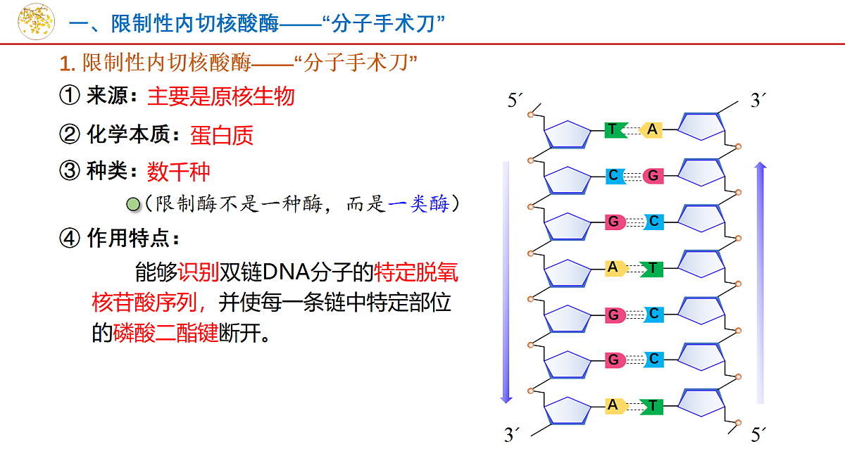 18048360第8页