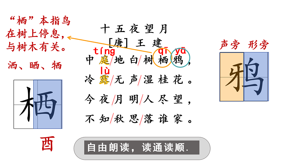 （教学课件）3.古诗三首之《十五夜望月》第7页
