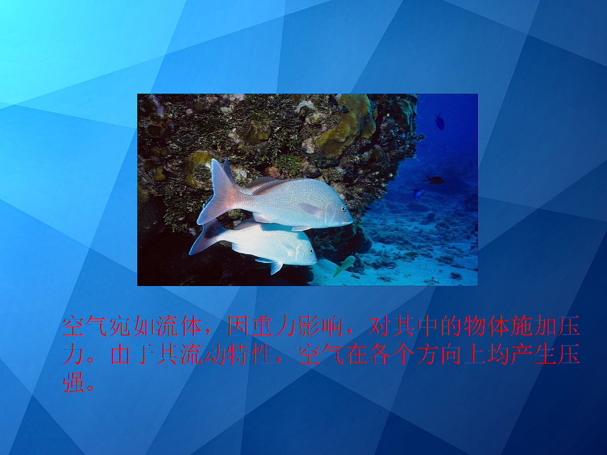 18048591第5页