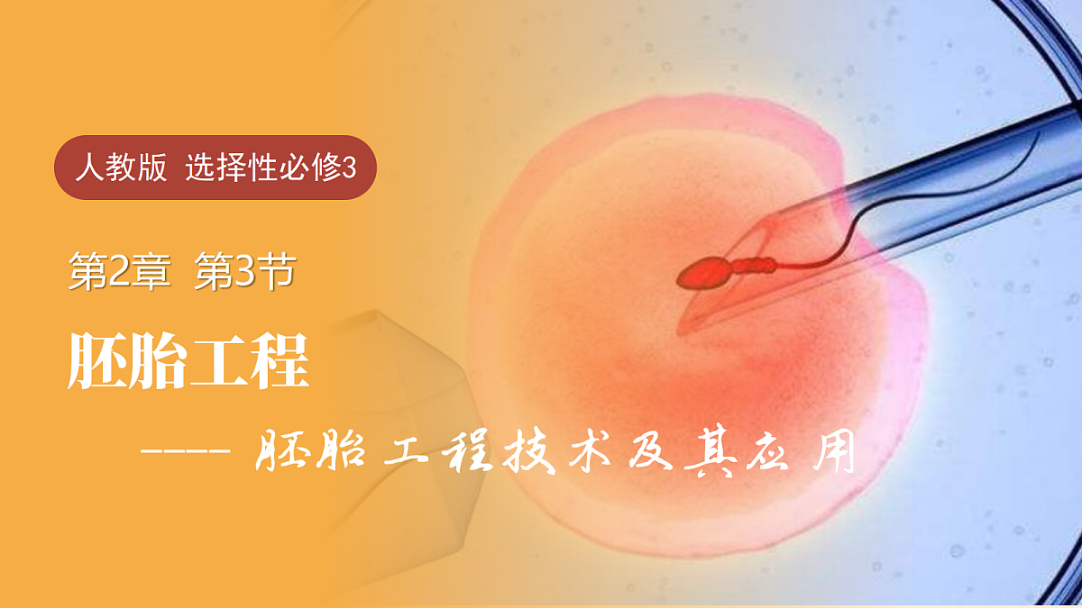 18048781第1页