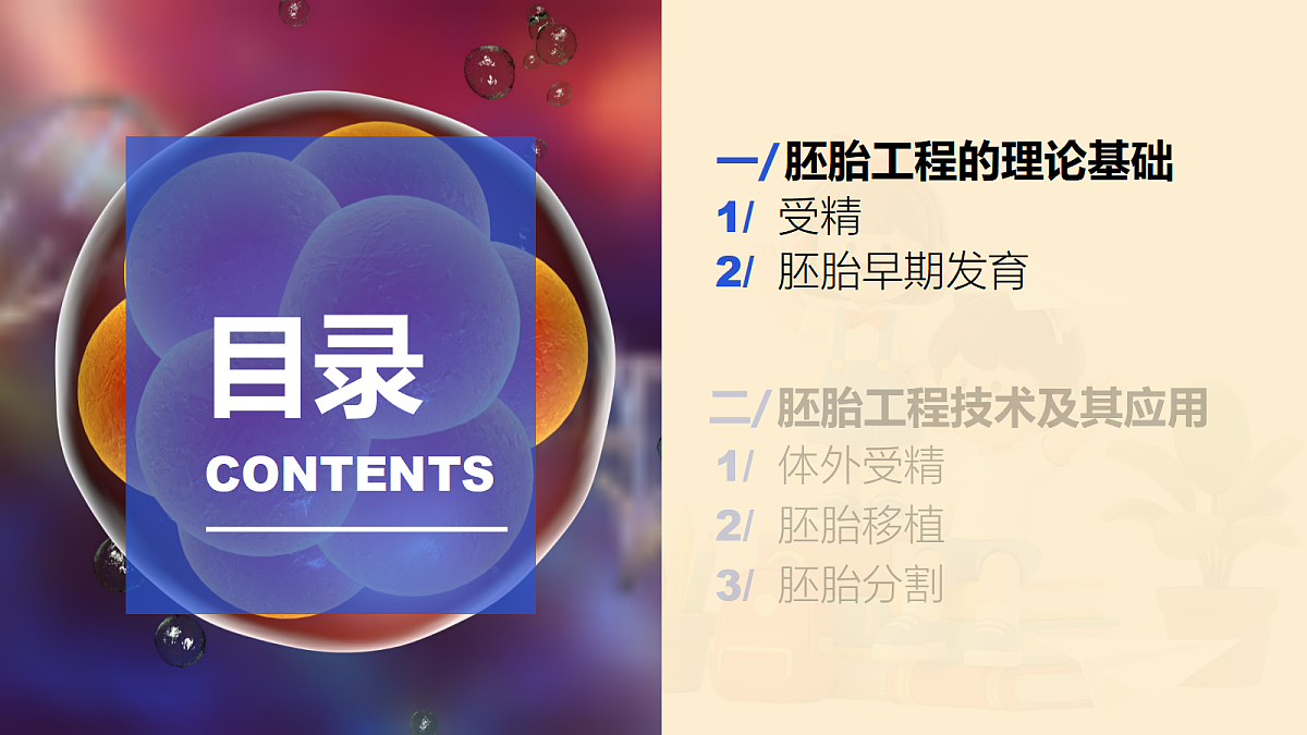 18048781第2页