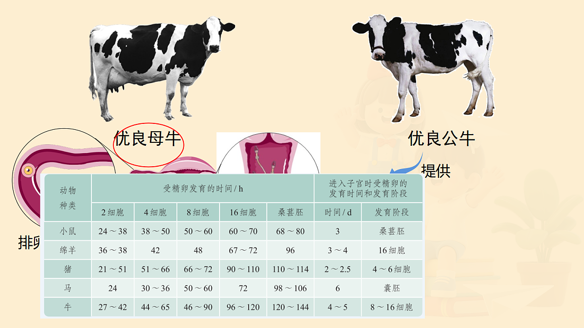 18048781第4页