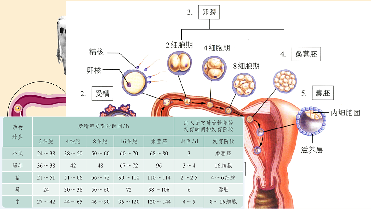 18048781第5页