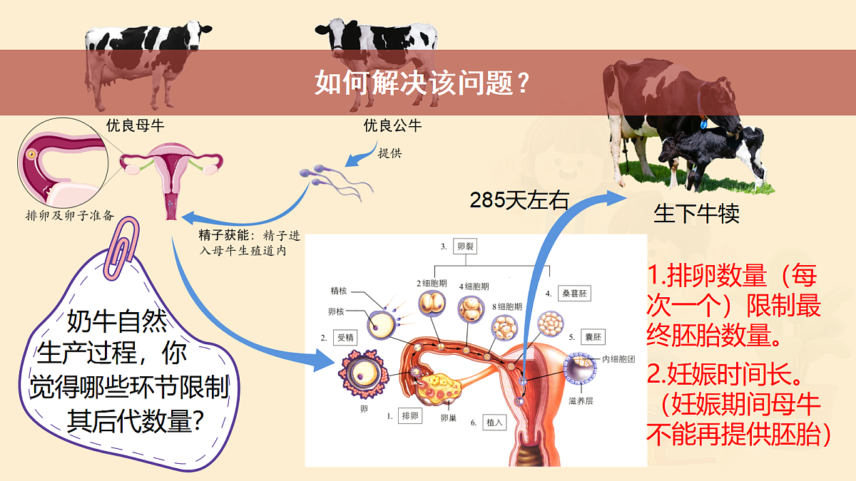 18048781第6页