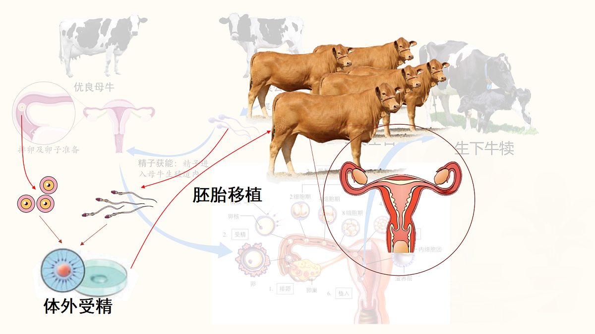 18048781第7页