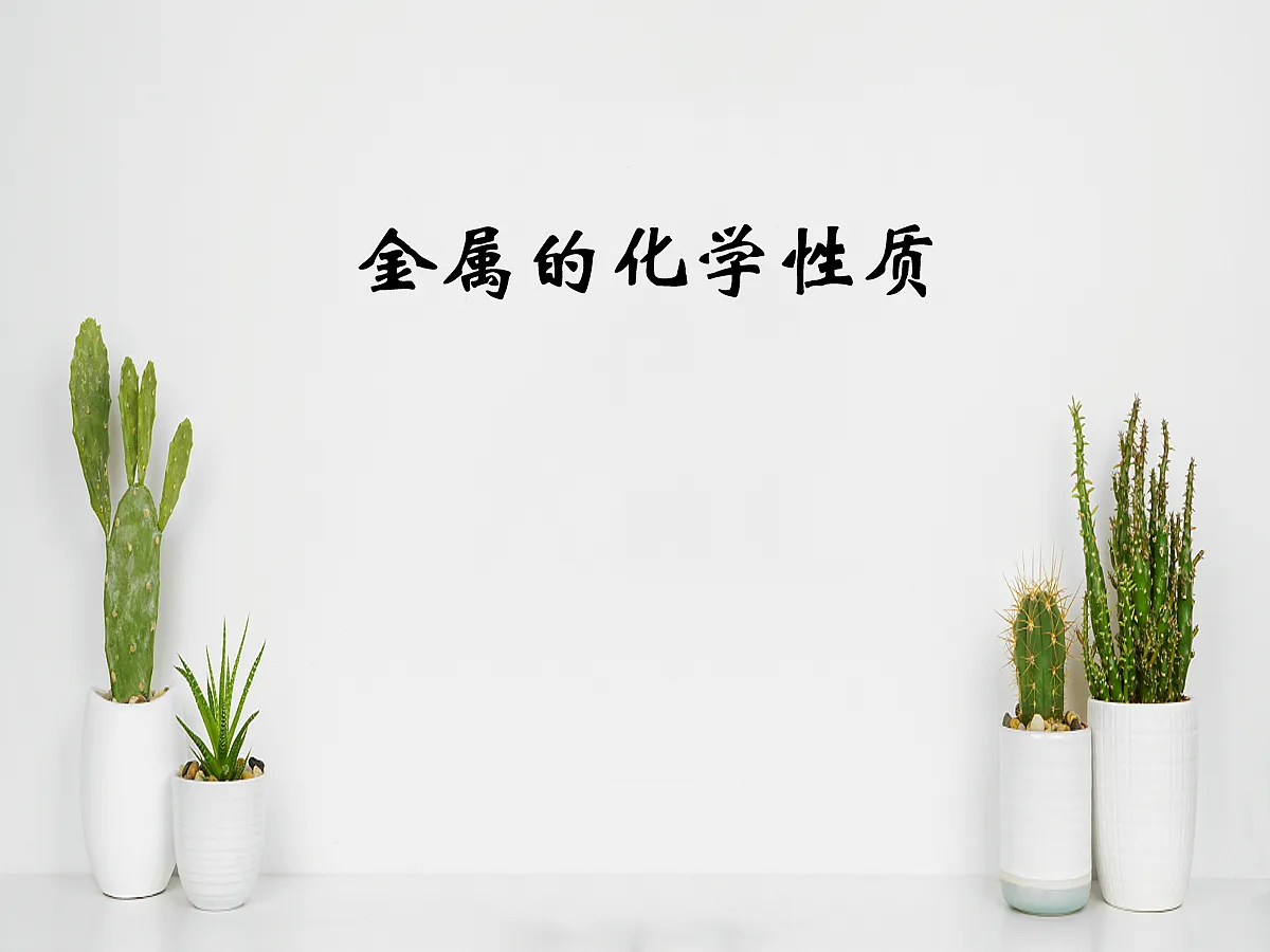 18048861第1页
